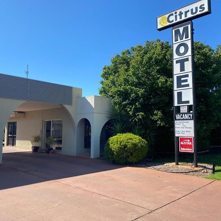 Citrus Motel Griffith Ngoại thất bức ảnh