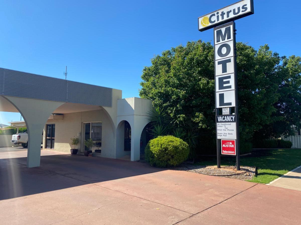 Citrus Motel Griffith Ngoại thất bức ảnh